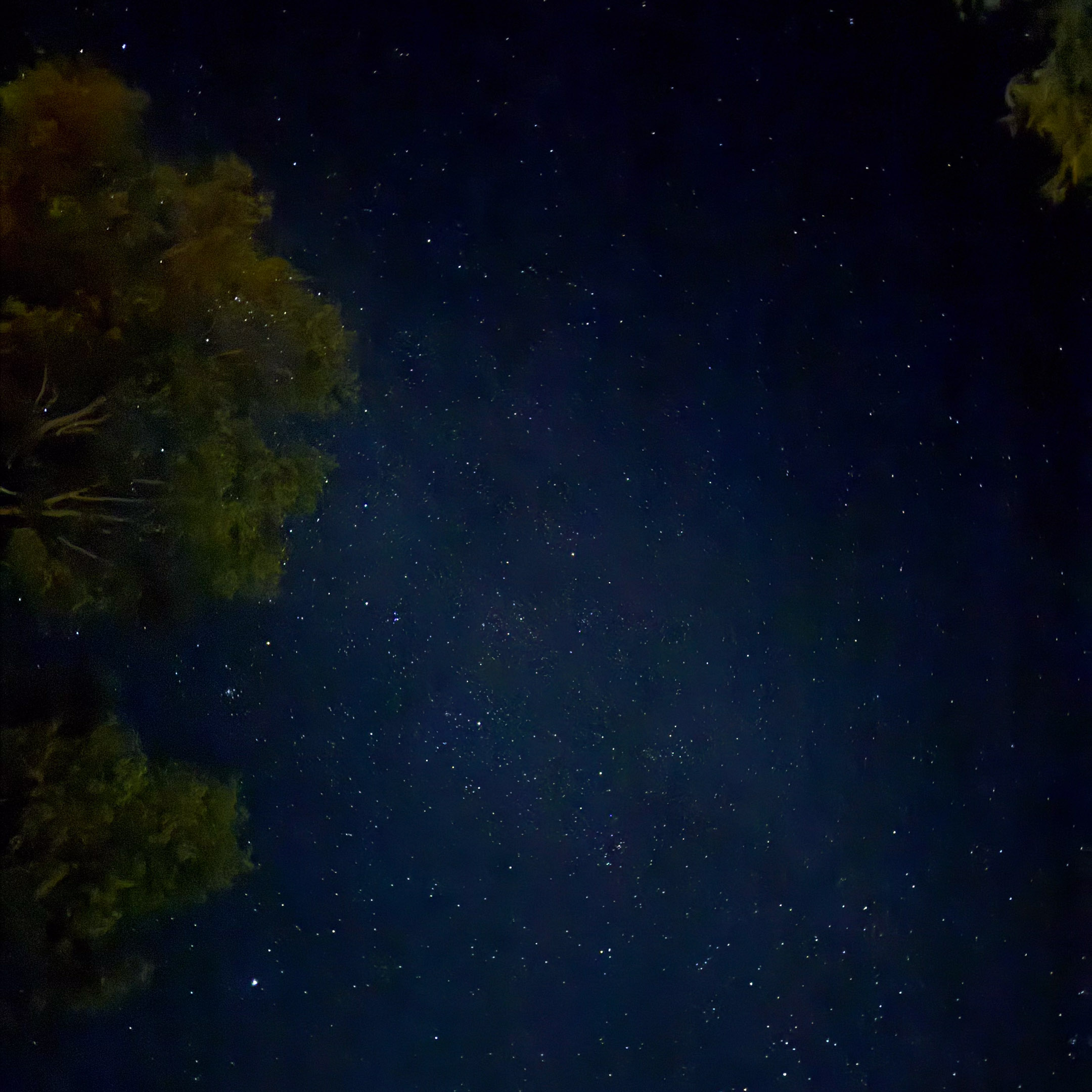 Falcon River – Stargazing-sq